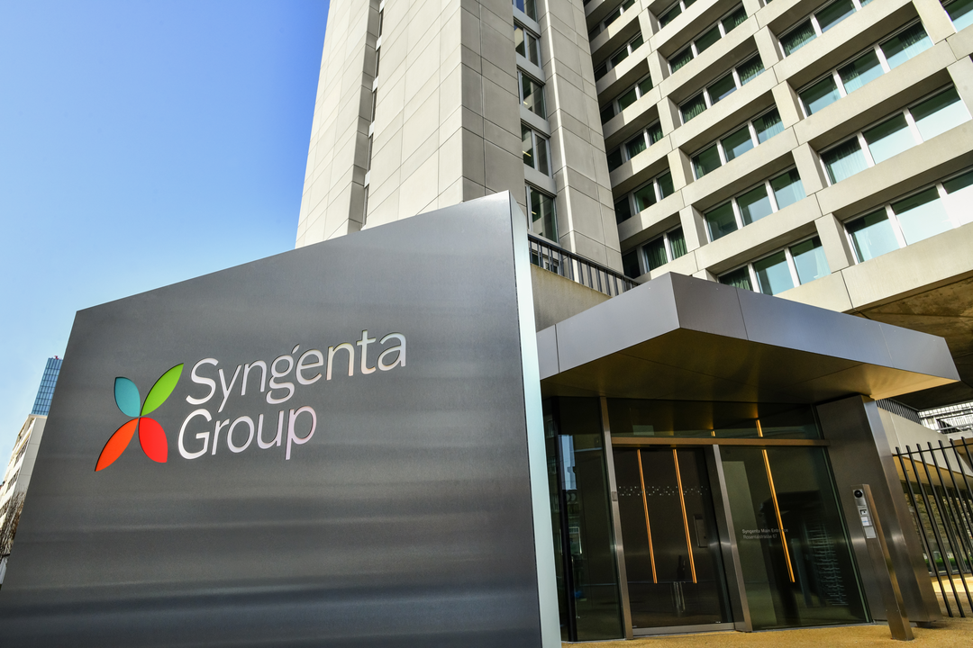 Grupo Syngenta integra Inteligência Artificial Generativa (GenAI) na sua plataforma de agricultura digital Cropwise